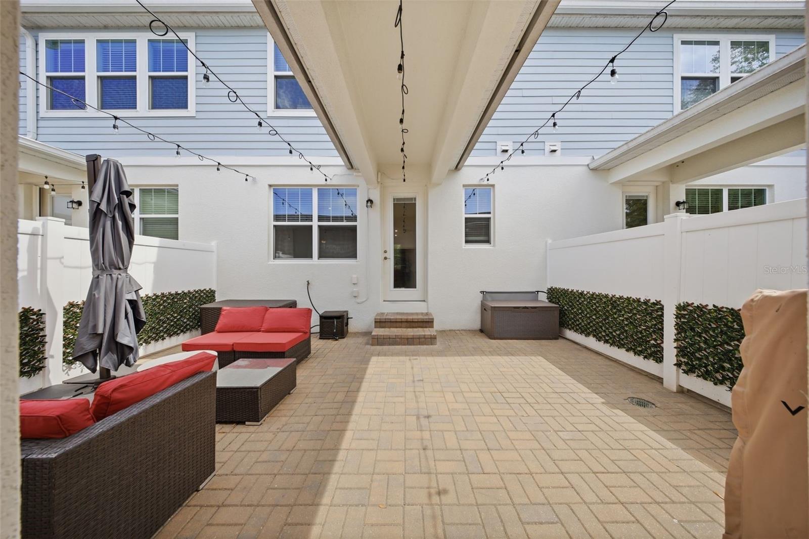 2117 GOPHER TORTOISE TER