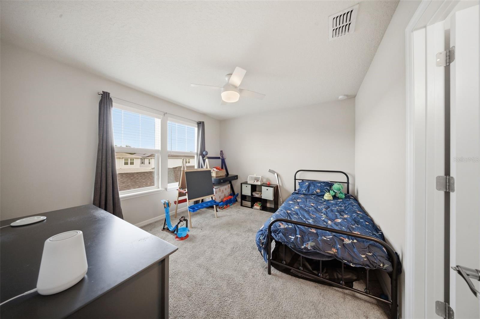 2117 GOPHER TORTOISE TER