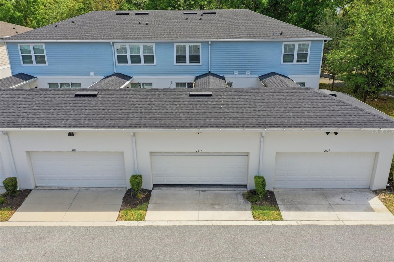 2117 GOPHER TORTOISE TER