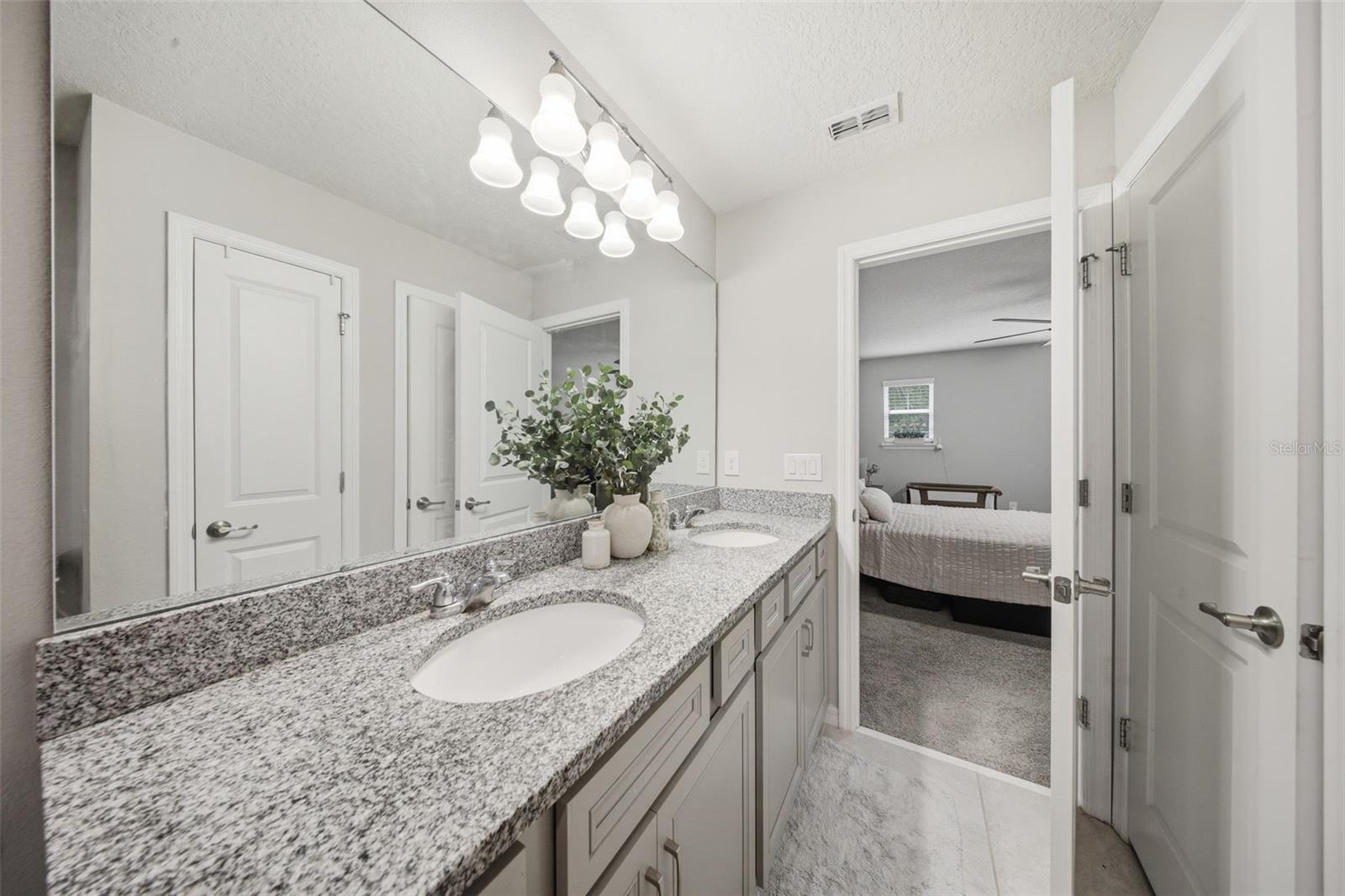 2117 GOPHER TORTOISE TER