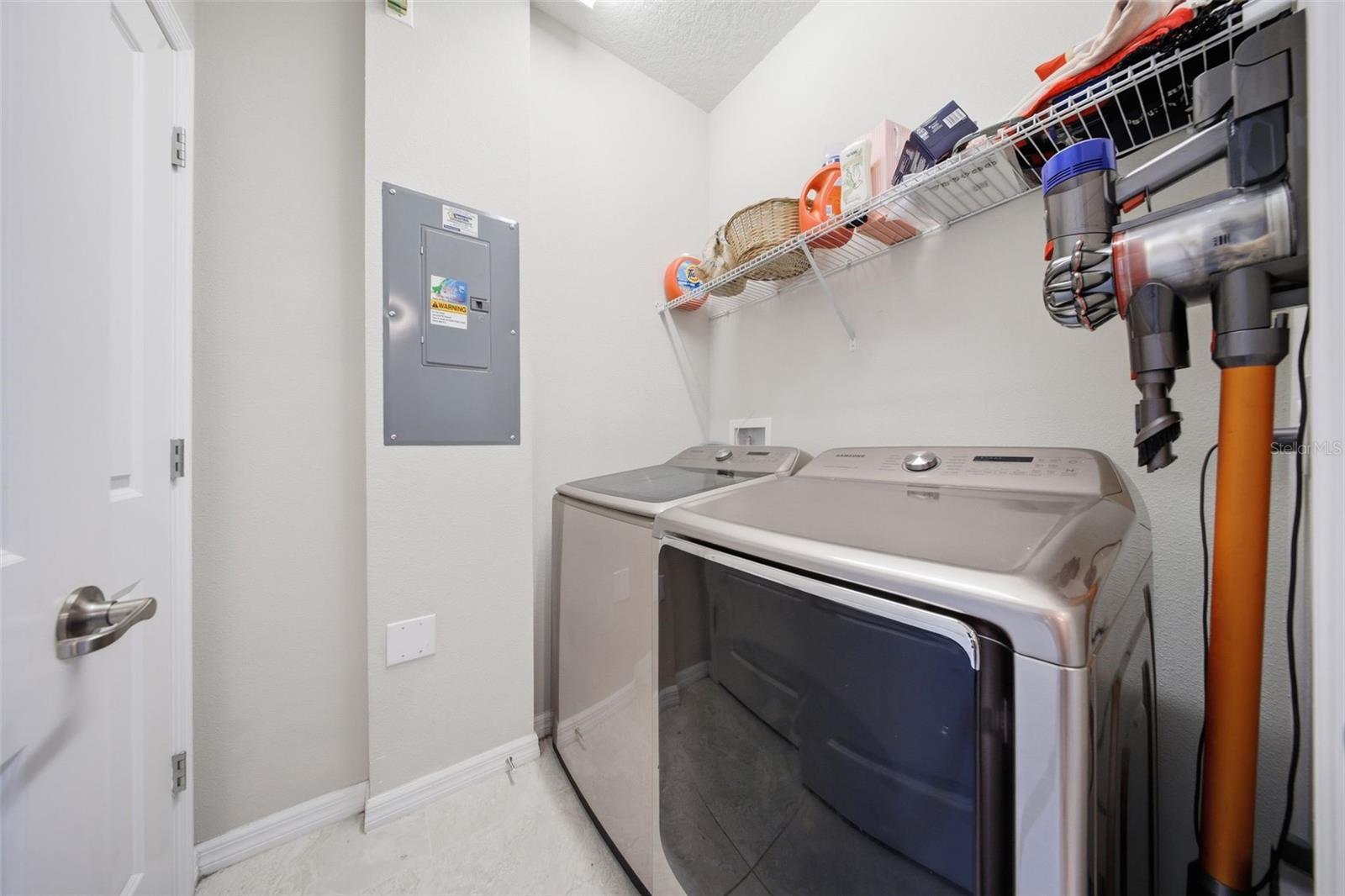 2117 GOPHER TORTOISE TER