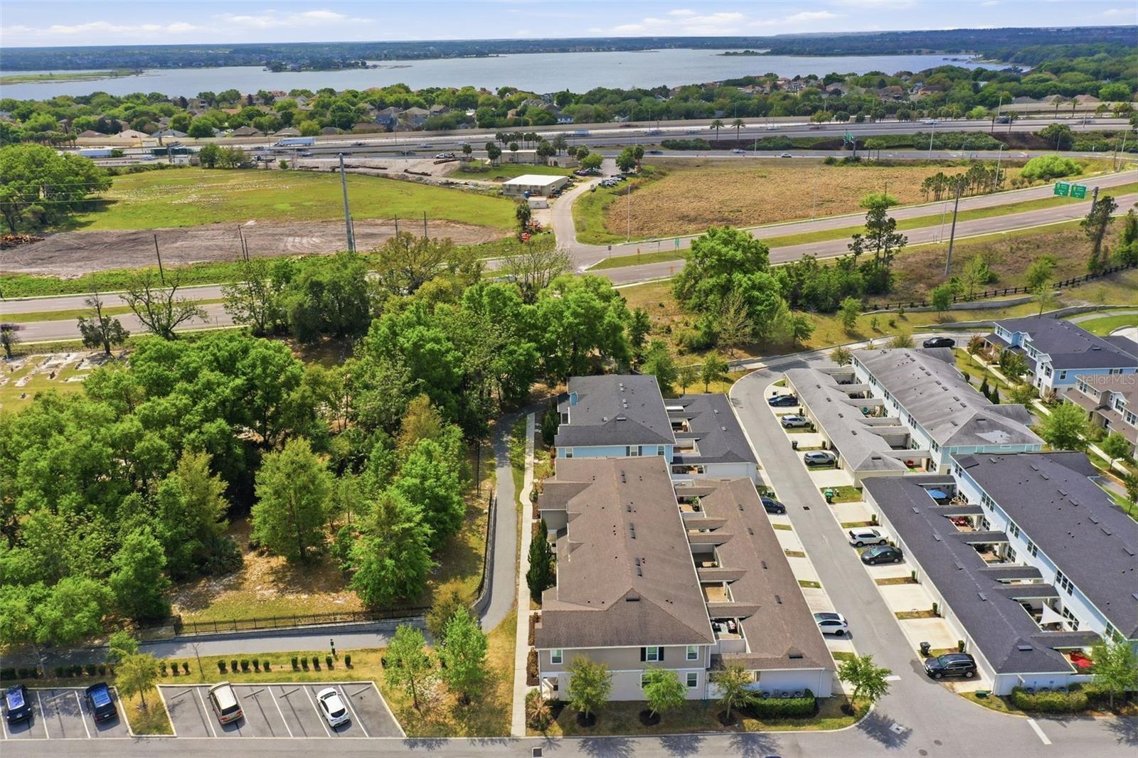 2117 GOPHER TORTOISE TER