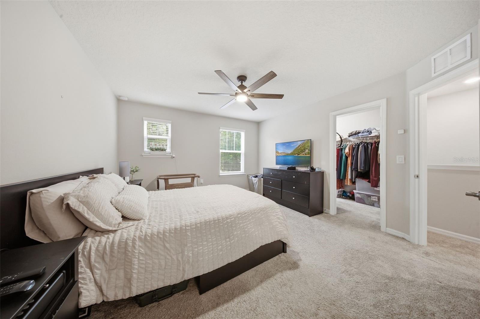 2117 GOPHER TORTOISE TER