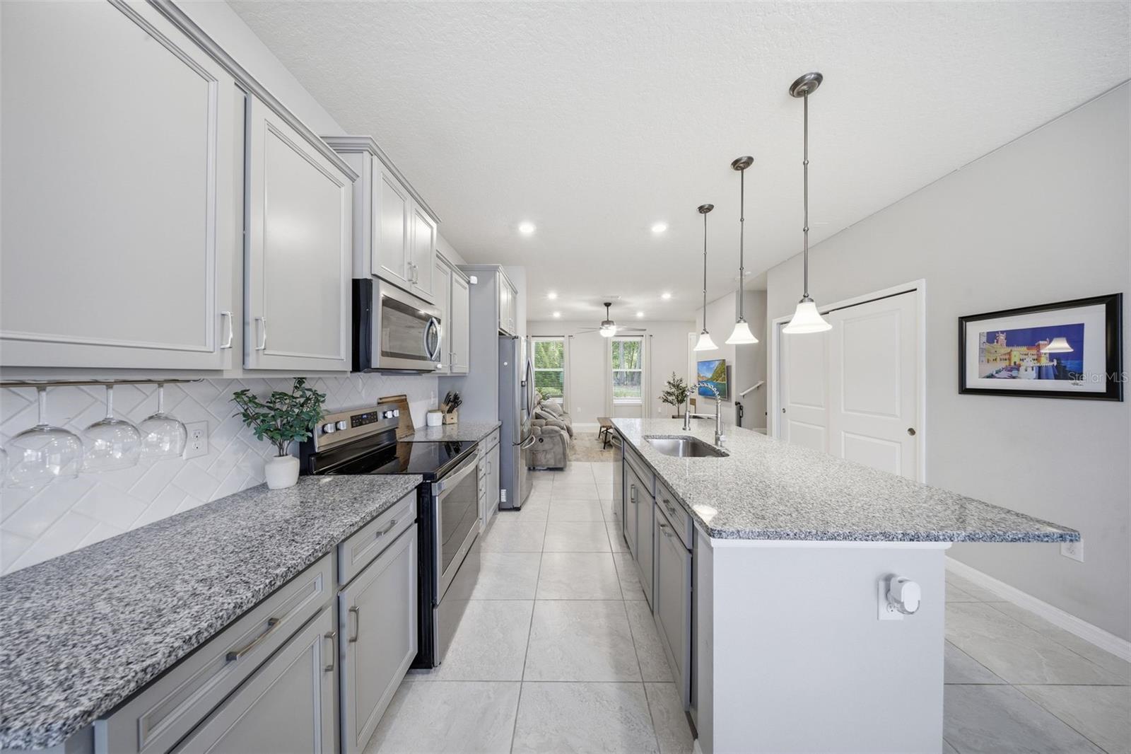 2117 GOPHER TORTOISE TER