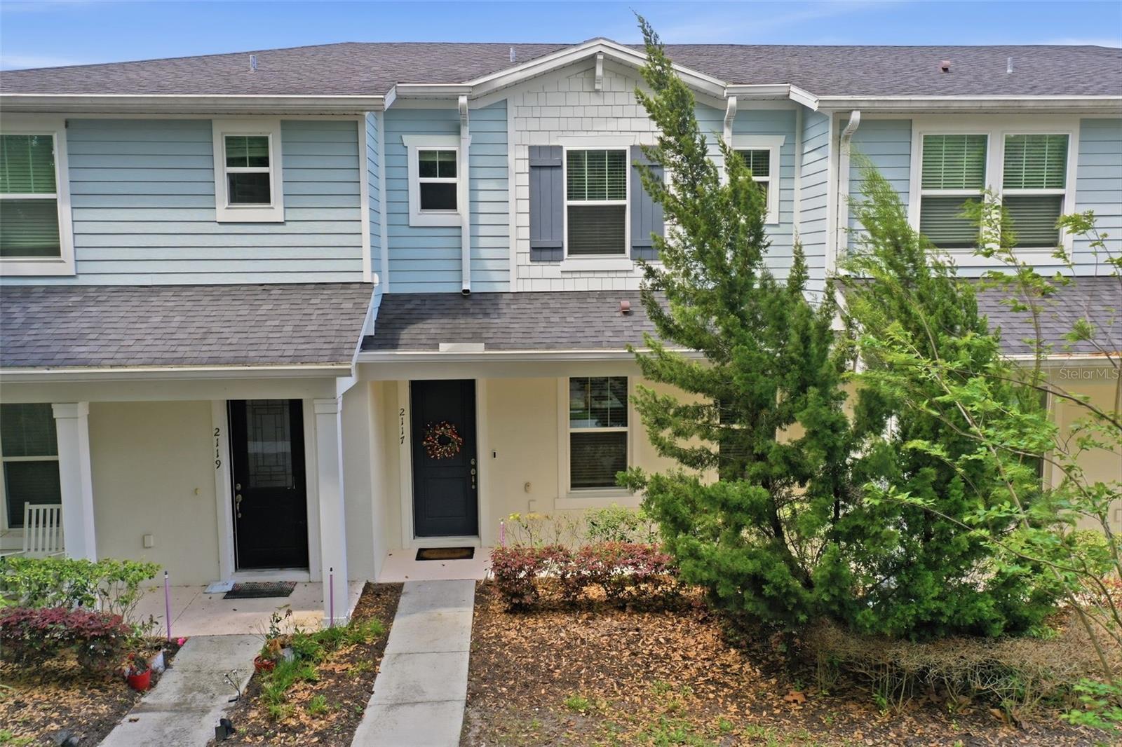 2117 GOPHER TORTOISE TER