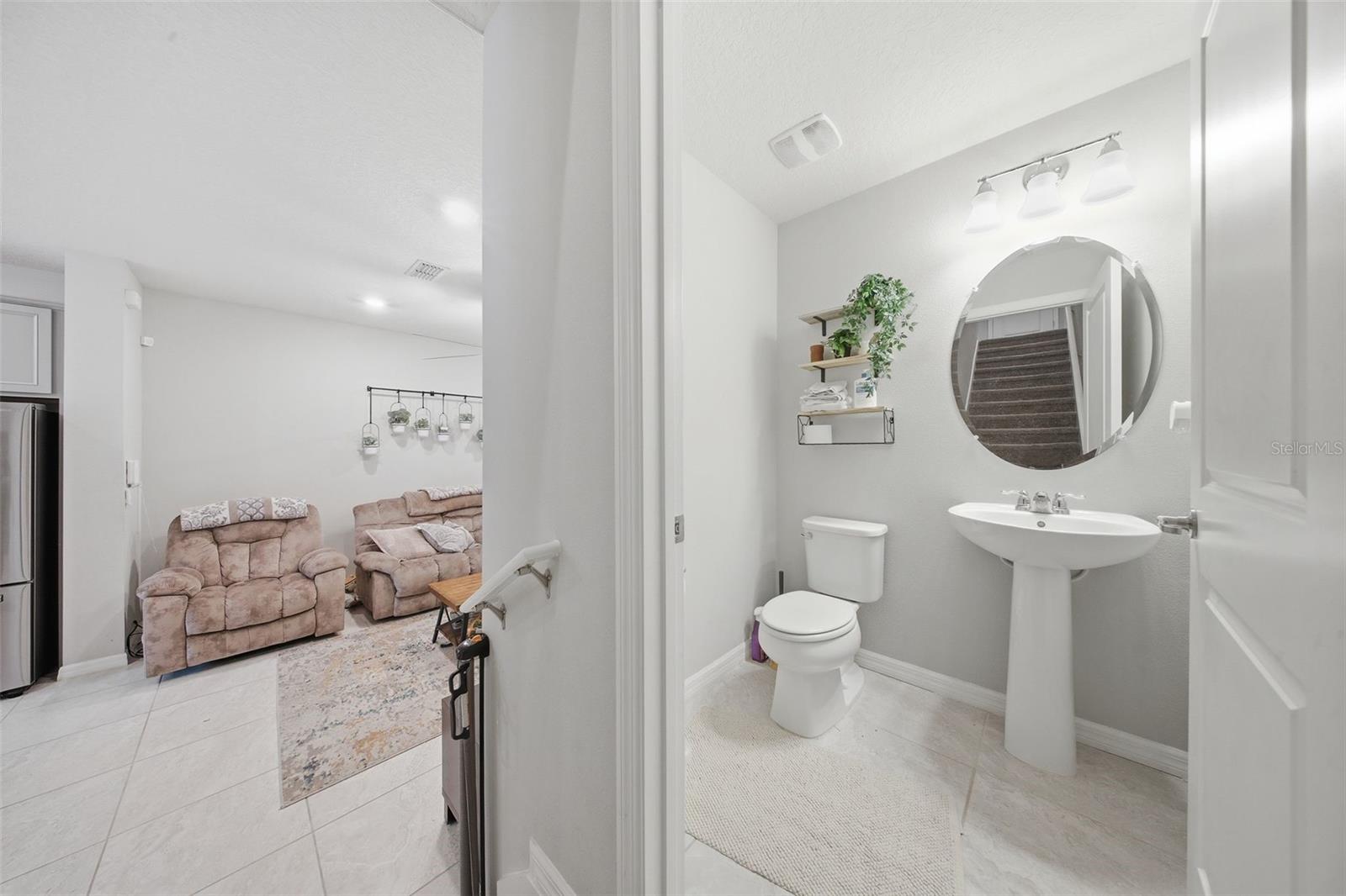 2117 GOPHER TORTOISE TER