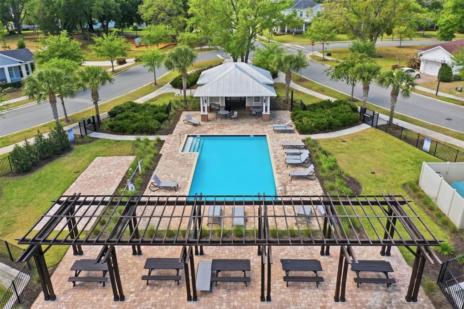 2117 GOPHER TORTOISE TER