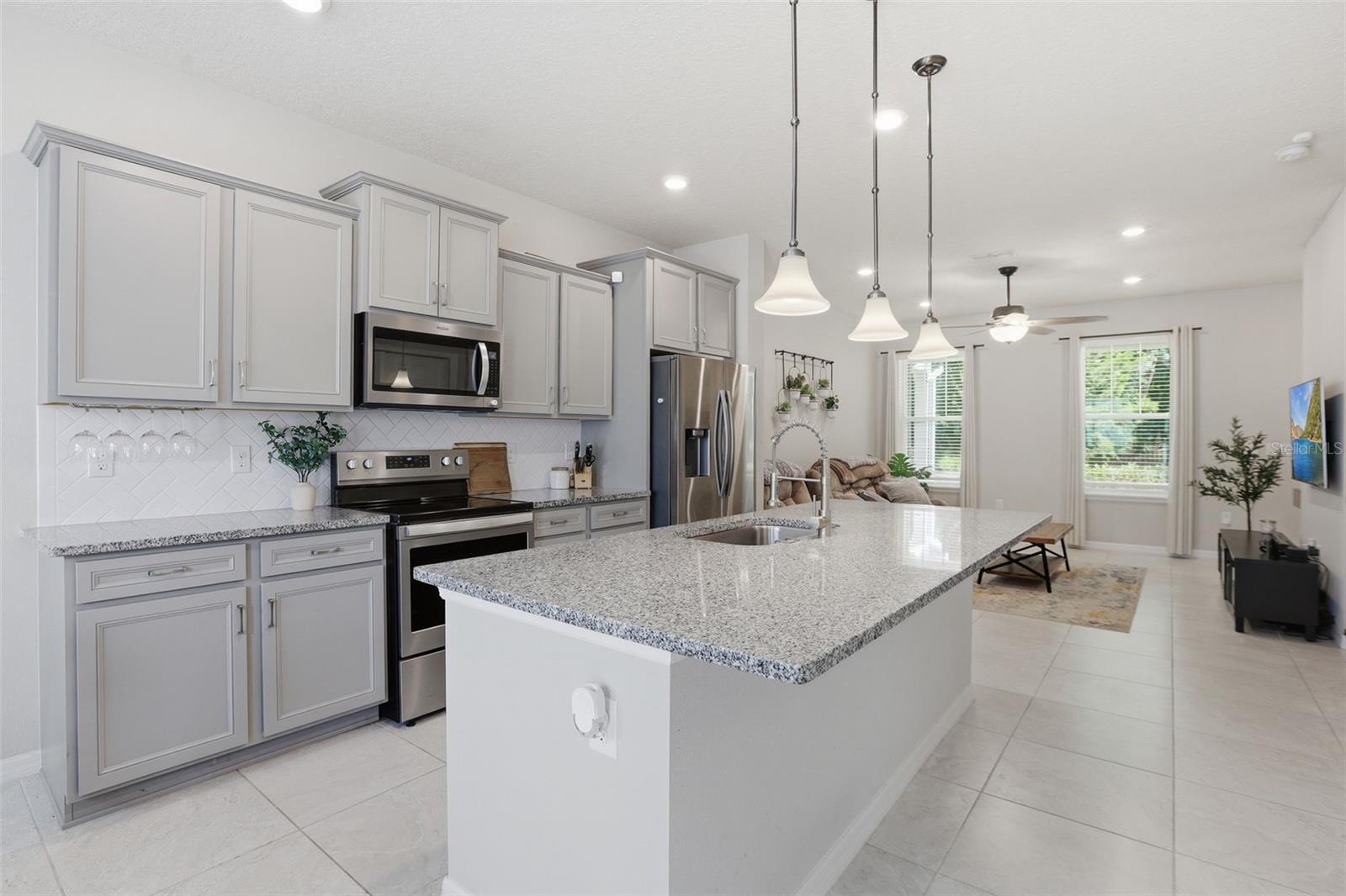 2117 GOPHER TORTOISE TER