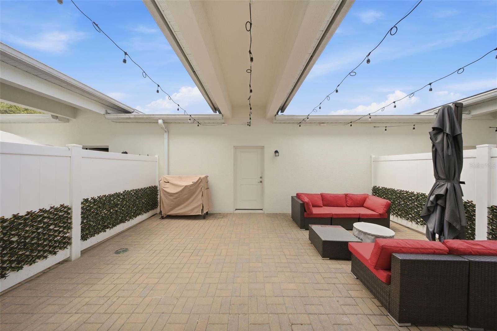 2117 GOPHER TORTOISE TER