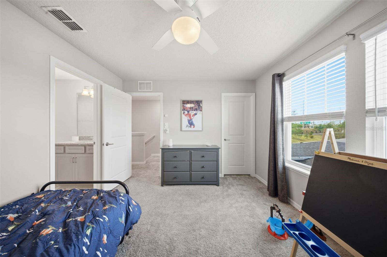 2117 GOPHER TORTOISE TER