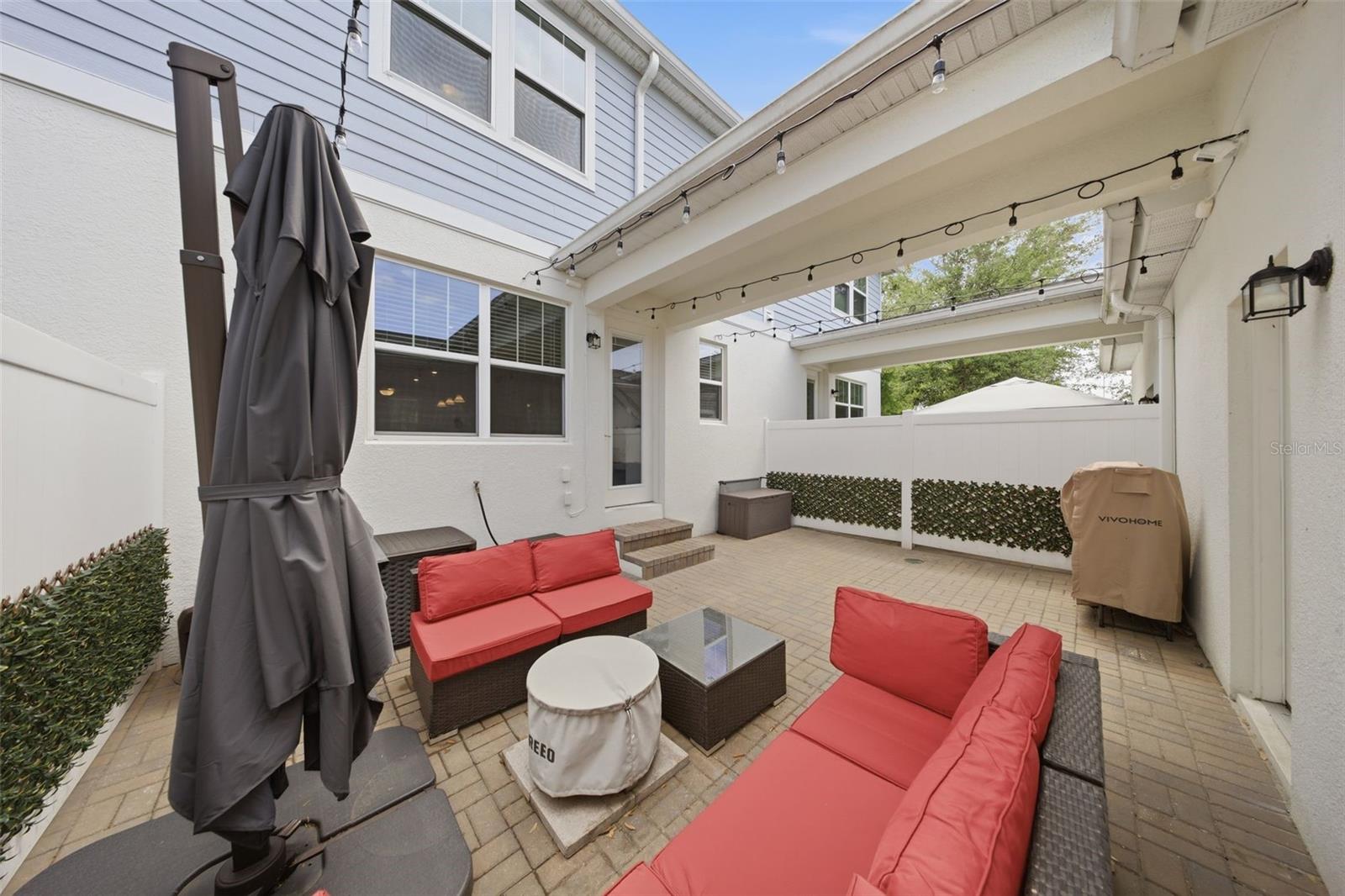 2117 GOPHER TORTOISE TER