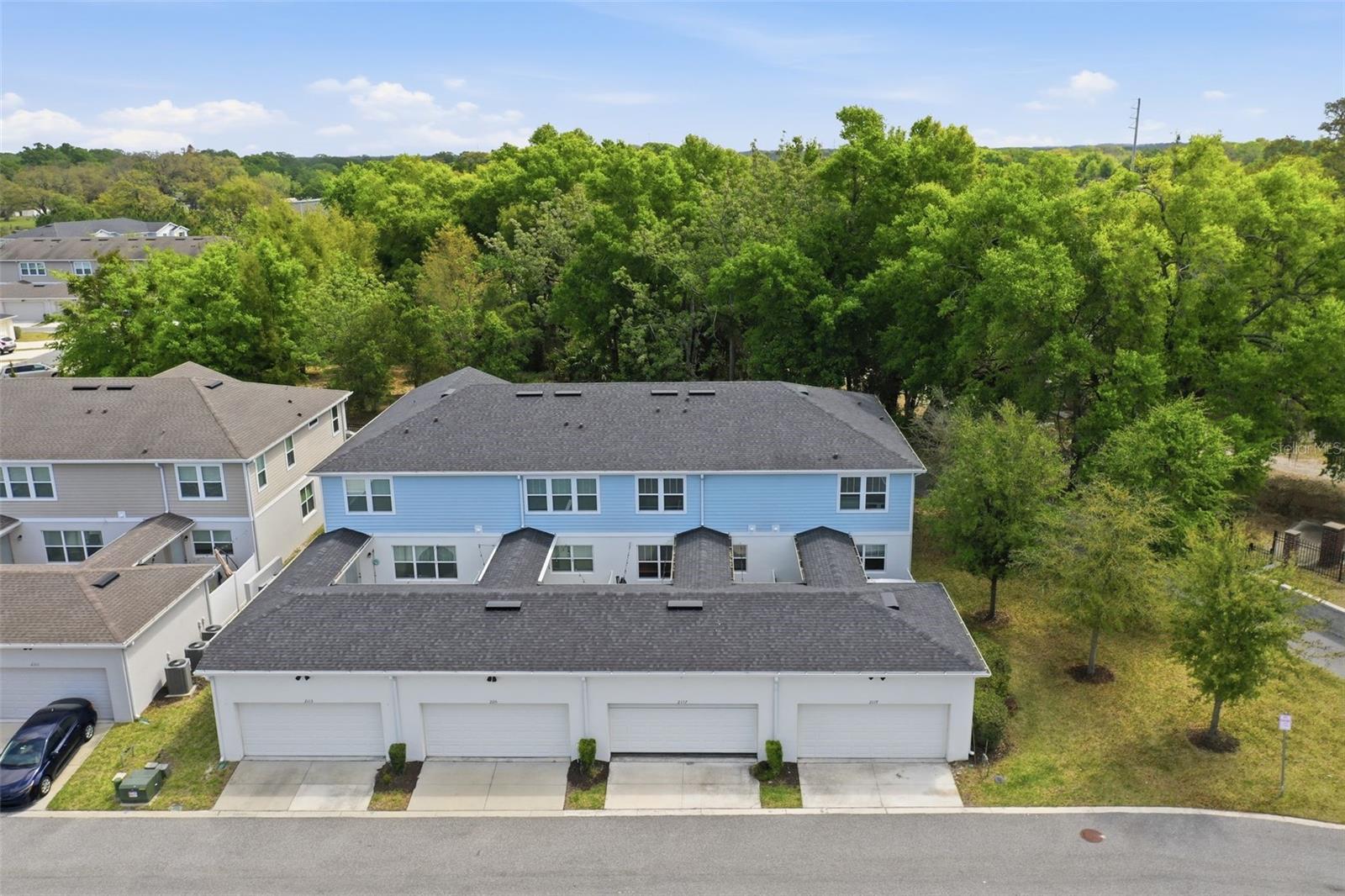 2117 GOPHER TORTOISE TER