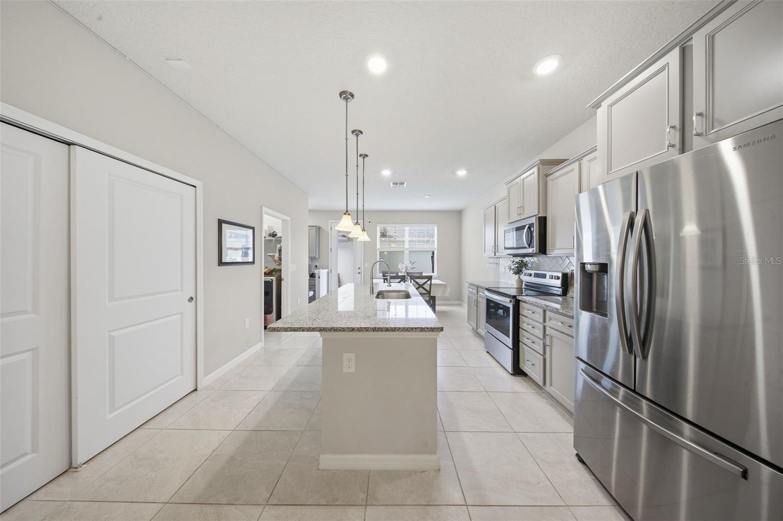 2117 GOPHER TORTOISE TER