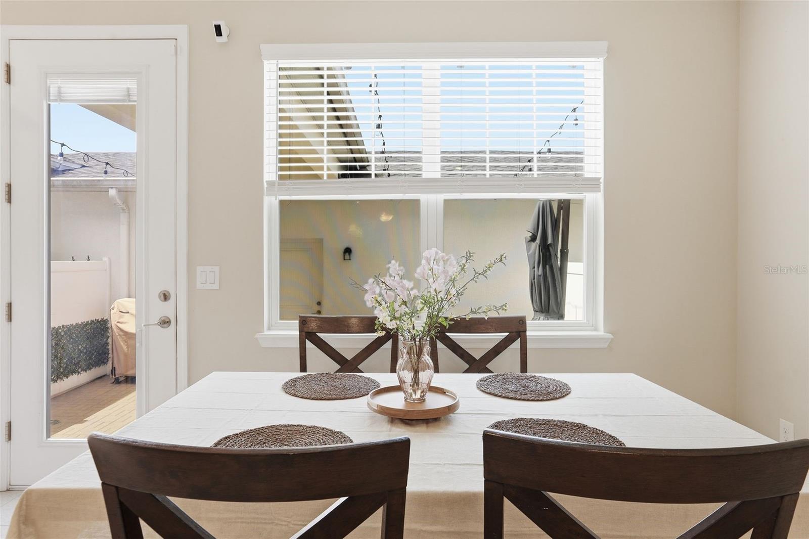 2117 GOPHER TORTOISE TER