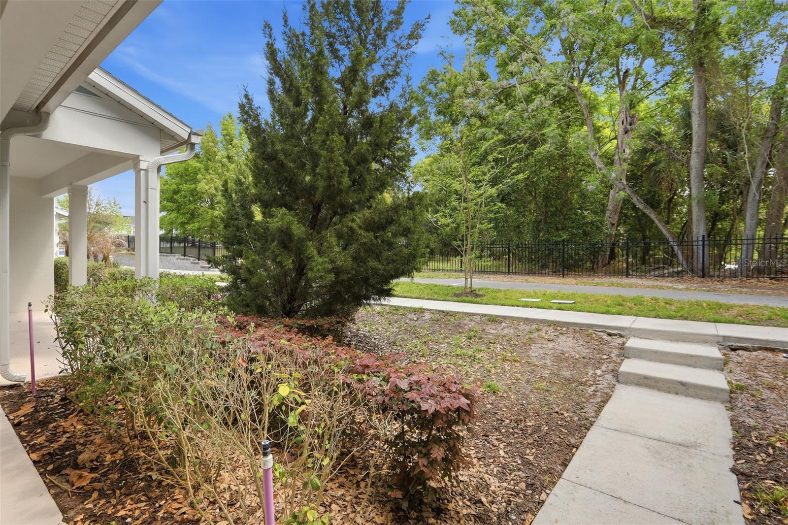 2117 GOPHER TORTOISE TER