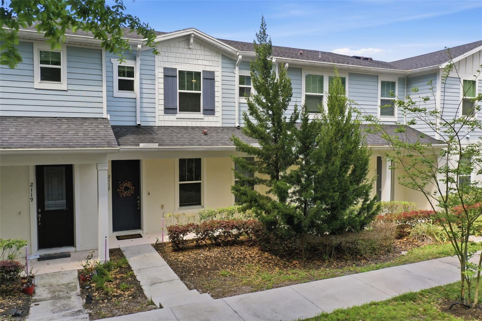 2117 GOPHER TORTOISE TER