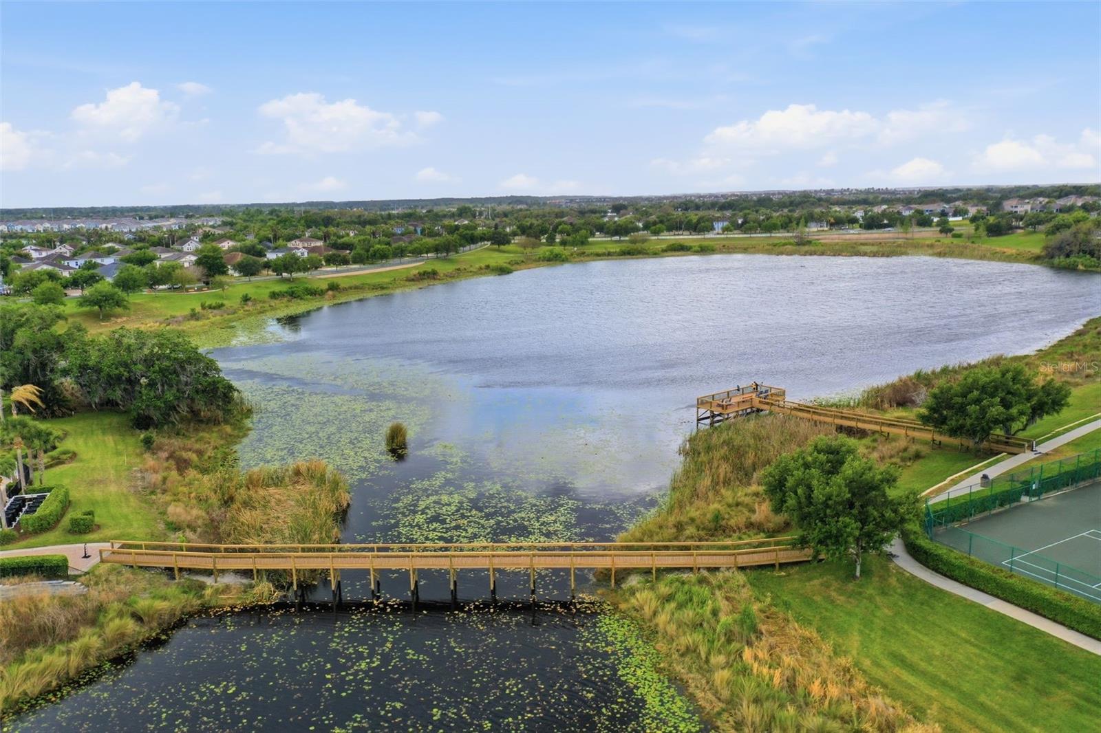 14834 BAHAMA SWALLOW BLVD