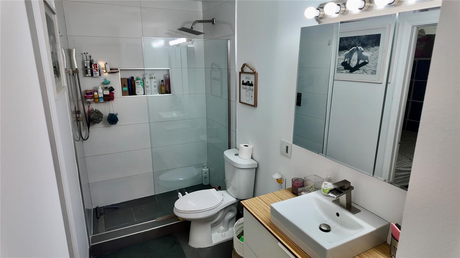 4694 PHEASANT RUN DR #2B