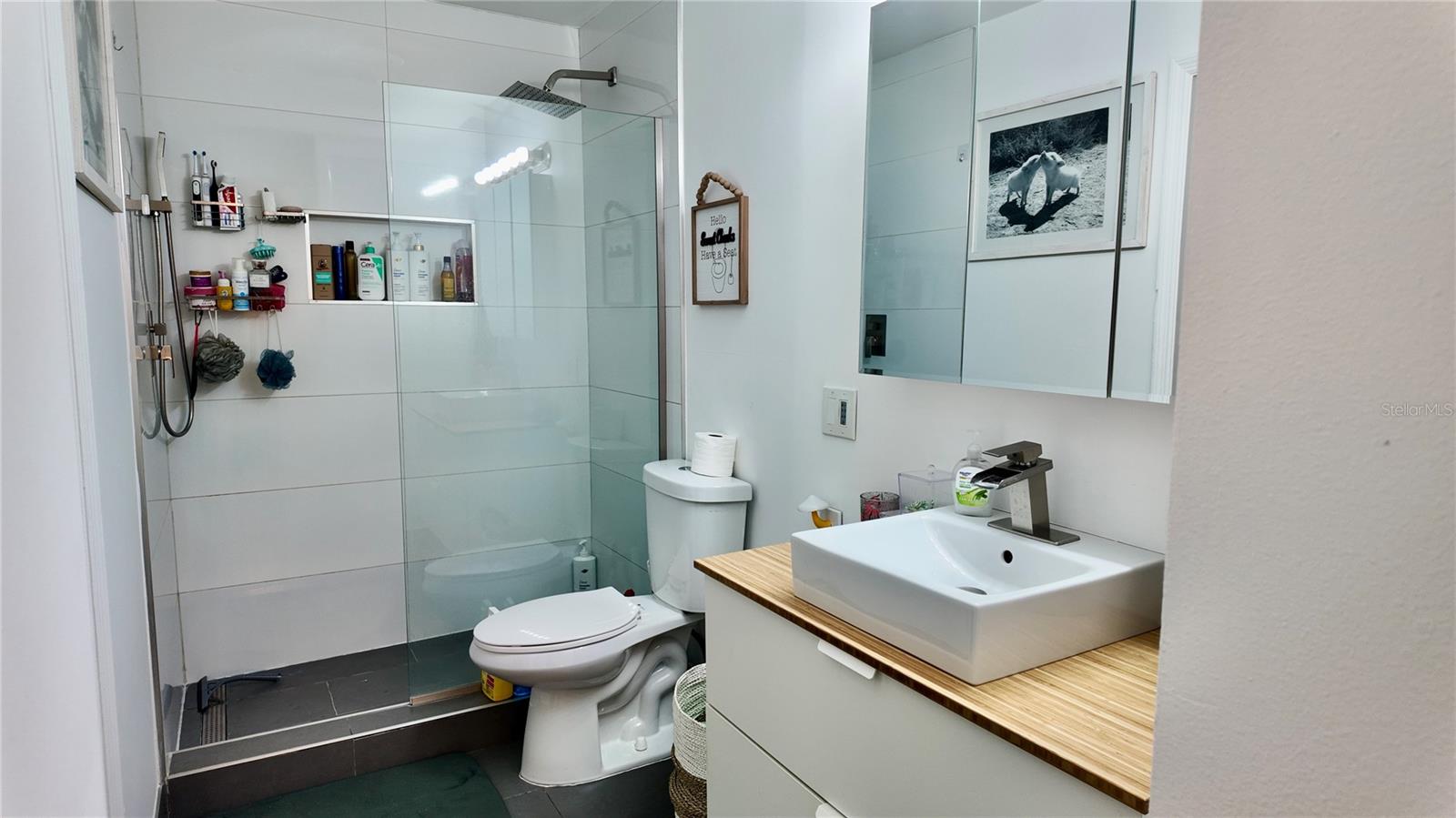 4694 PHEASANT RUN DR #2B