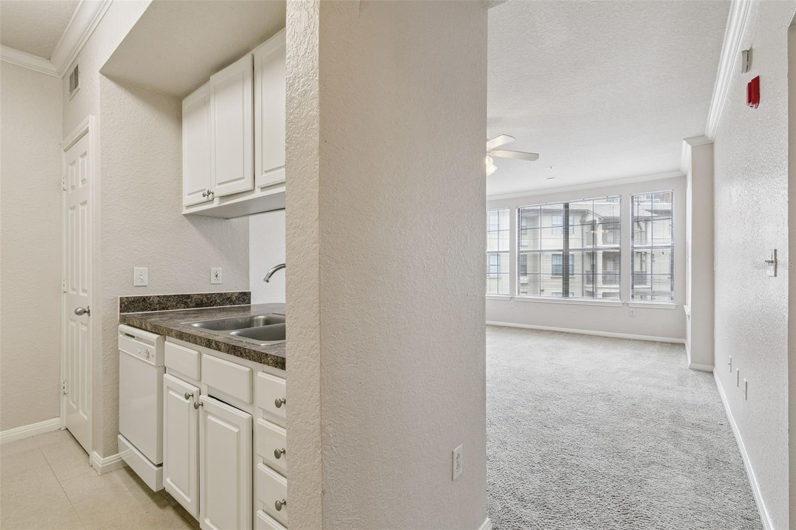 911 N ORANGE AVE #438