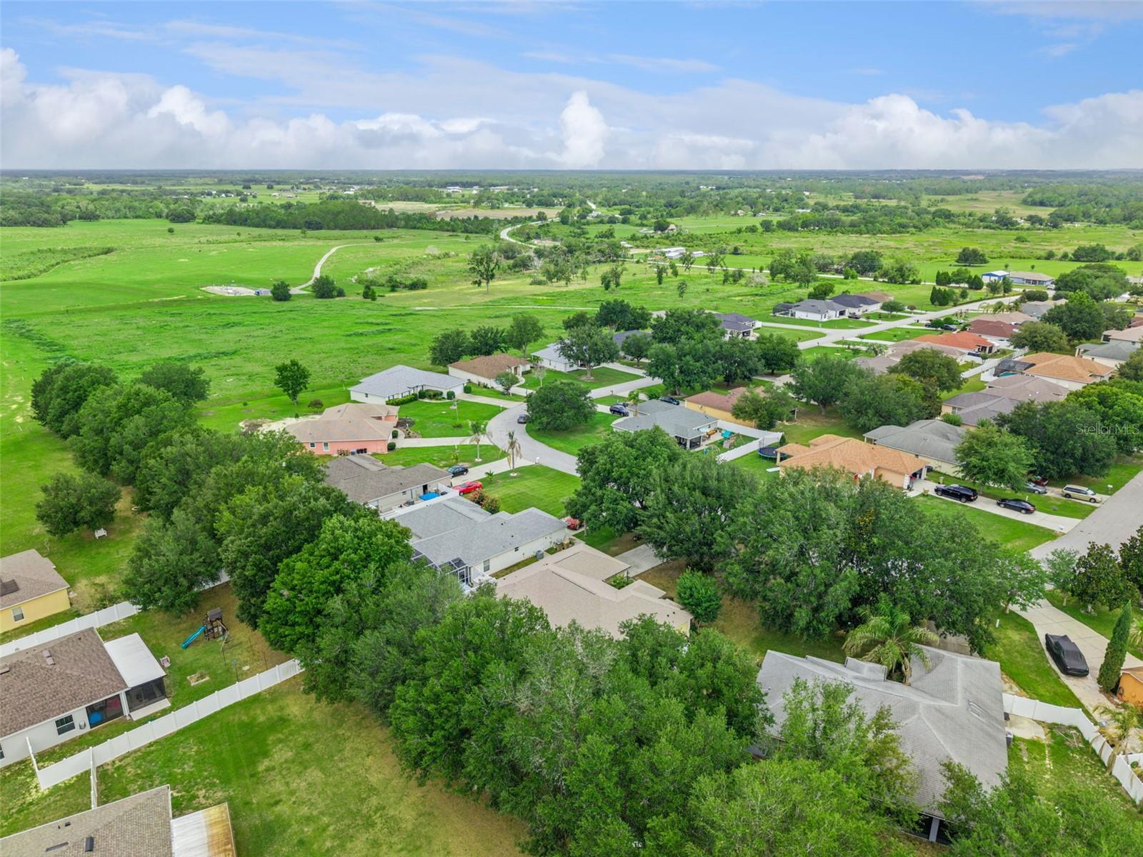 10418 VISTA PINES LOOP