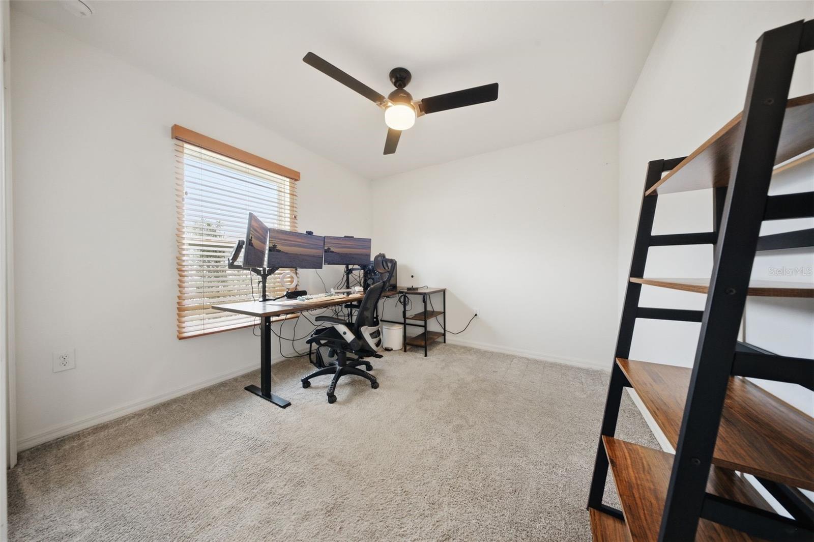 7437 IBIS DR