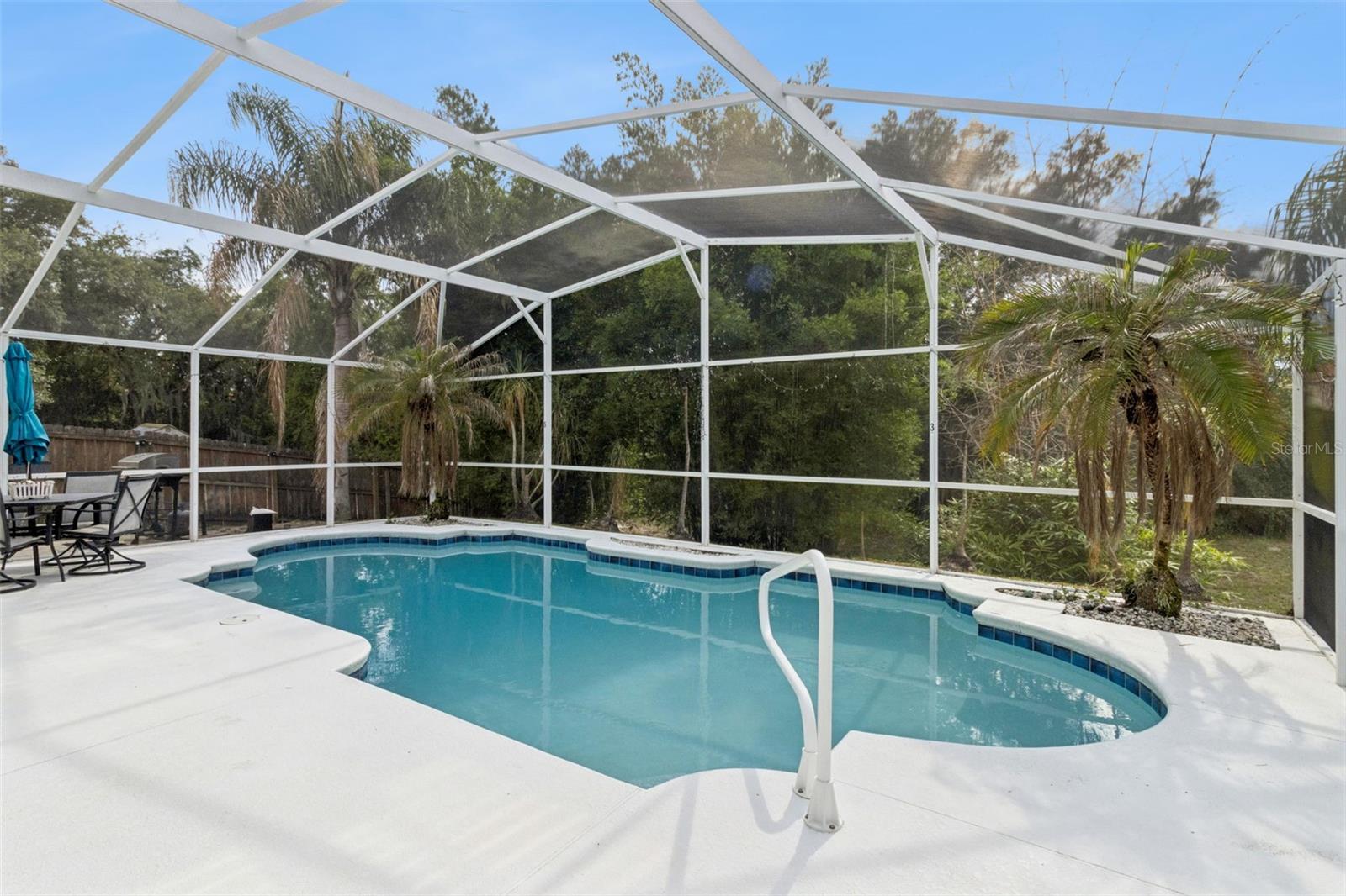 245 FOGGY CREEK RD