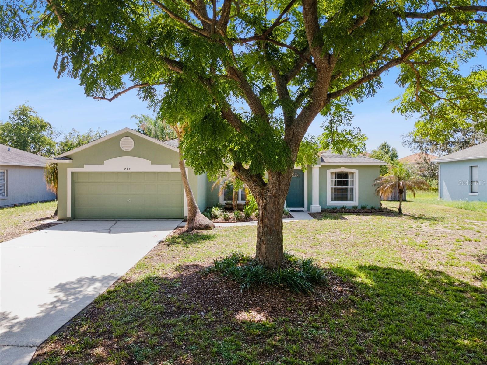245 FOGGY CREEK RD