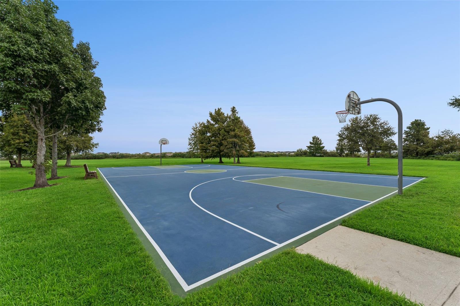 589 BLUE CYPRESS DR