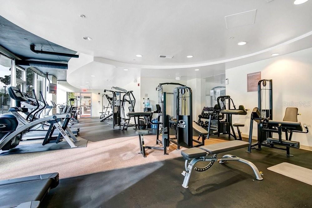 155 S COURT AVE #1102