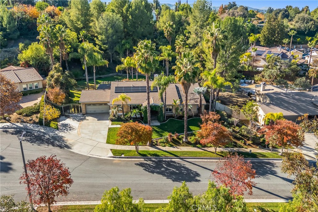 1388 Brandon Court