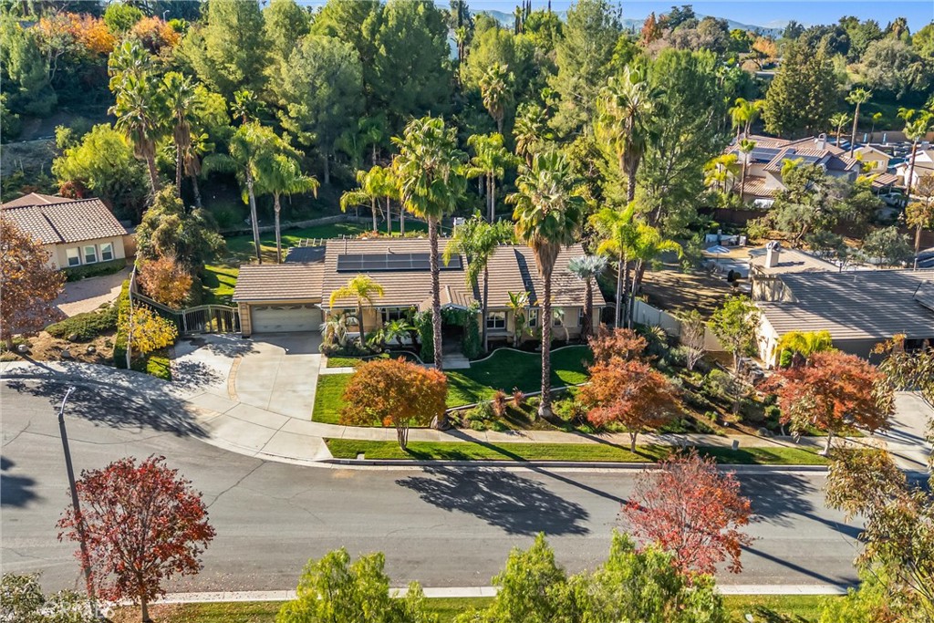 1388 Brandon Court