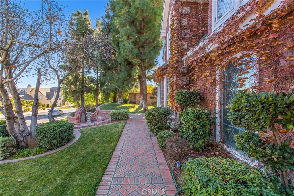 1608 Smiley Ridge