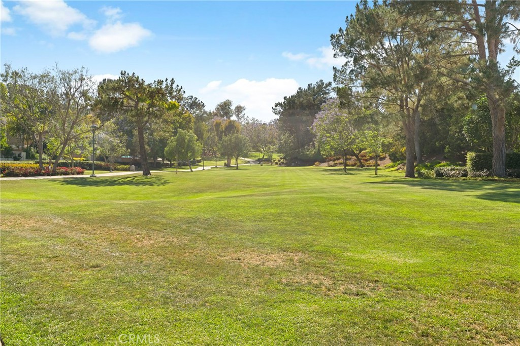 18 Meadowood