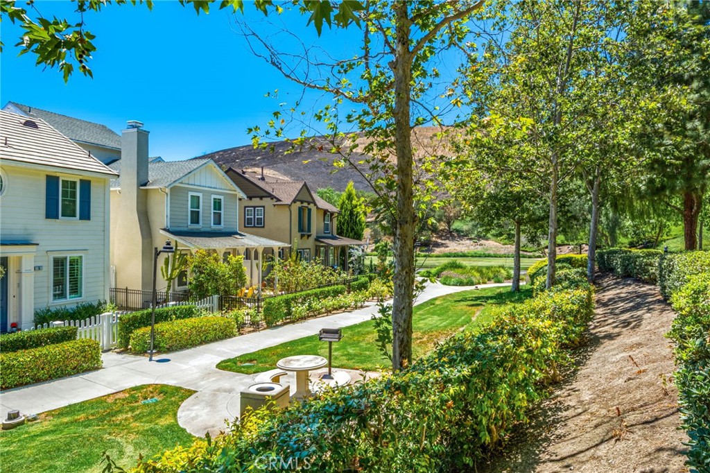 24 Thorp Spring