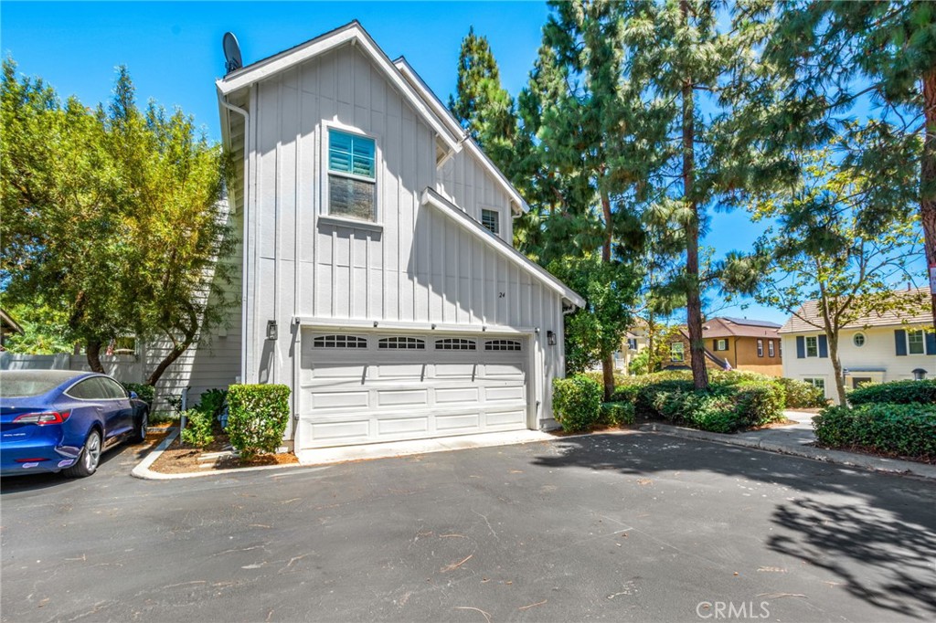 24 Thorp Spring