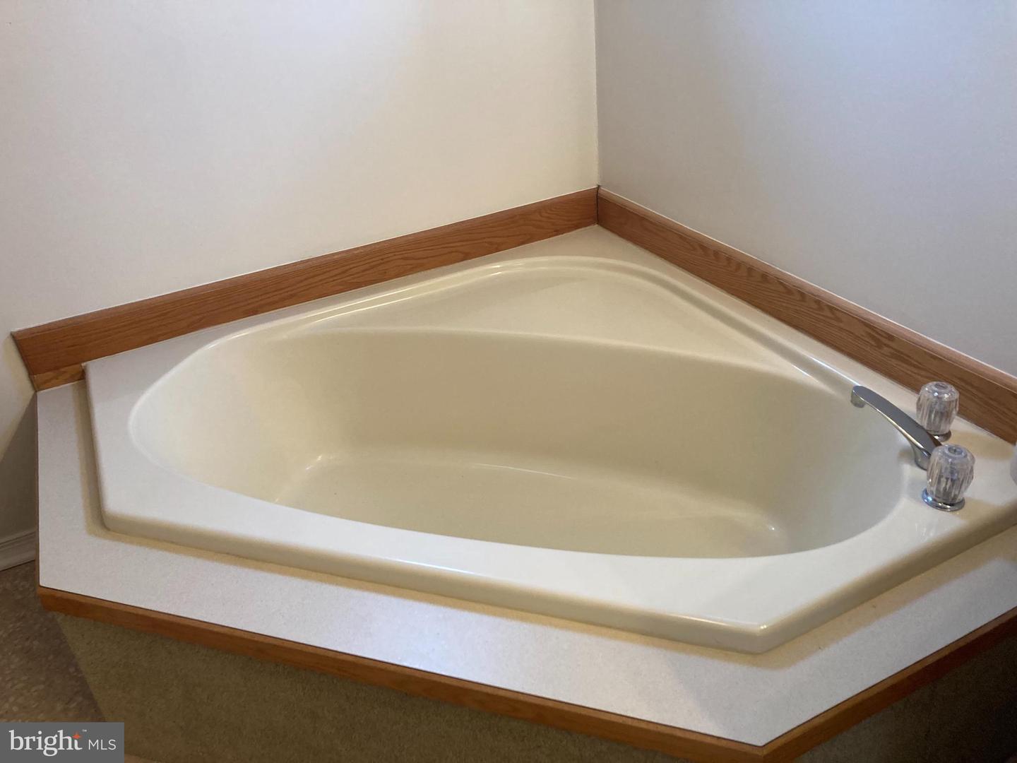 530 Honeysuckle Ct
