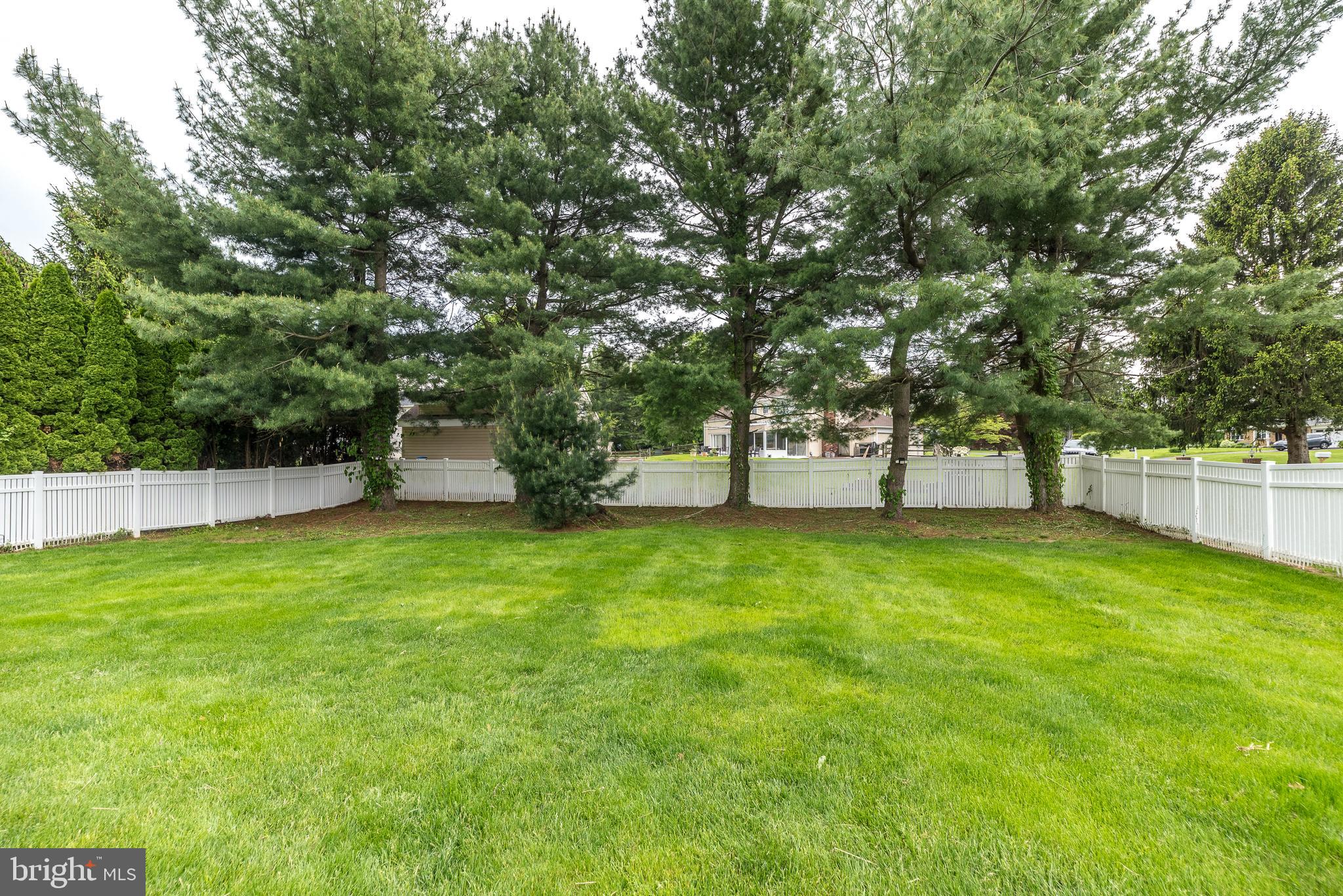 123 Orthodox Dr