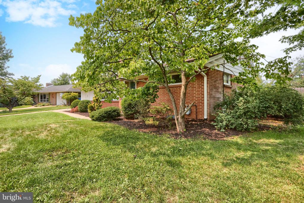 26 AMHERST DRIVE
