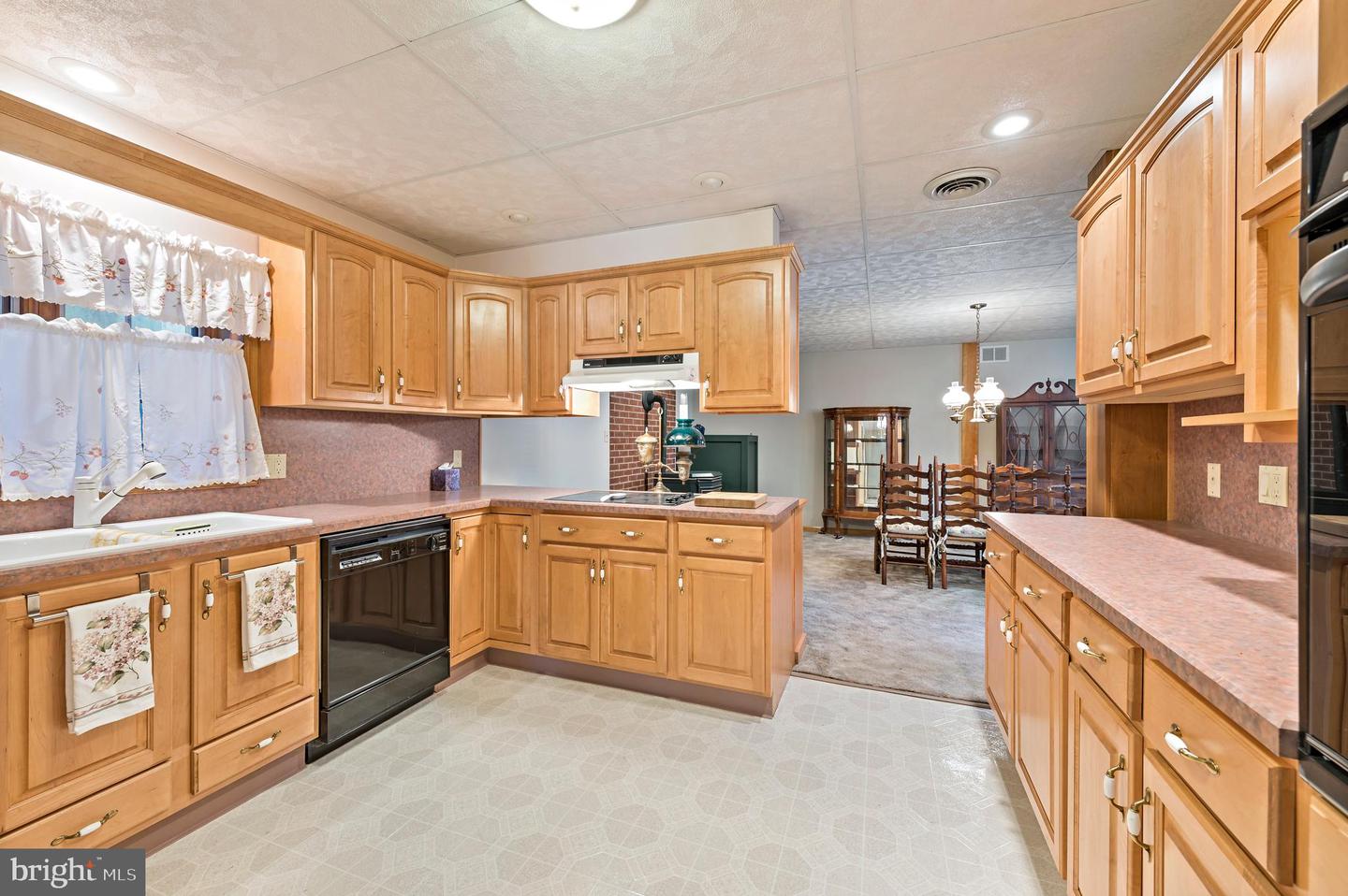 435 Maxine Dr