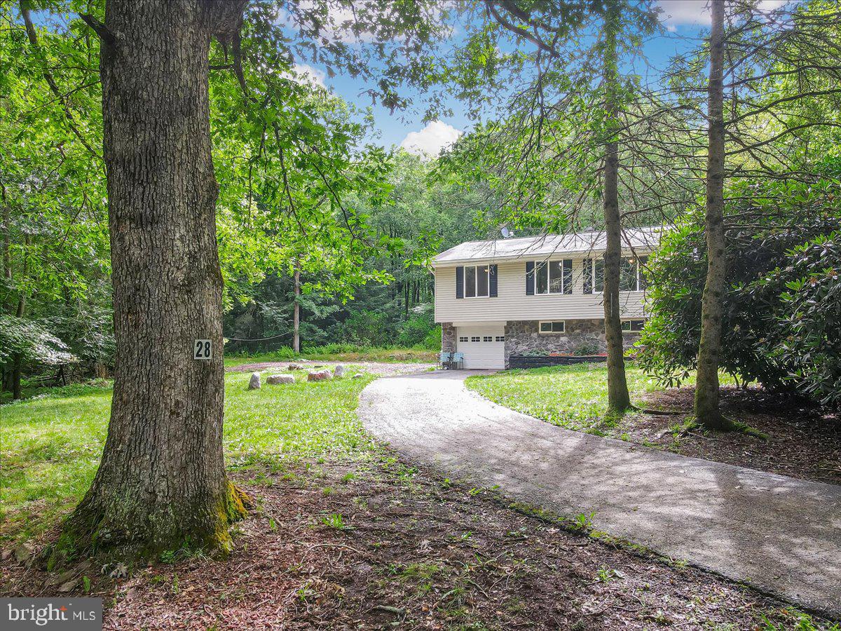 28 Andrew Dr