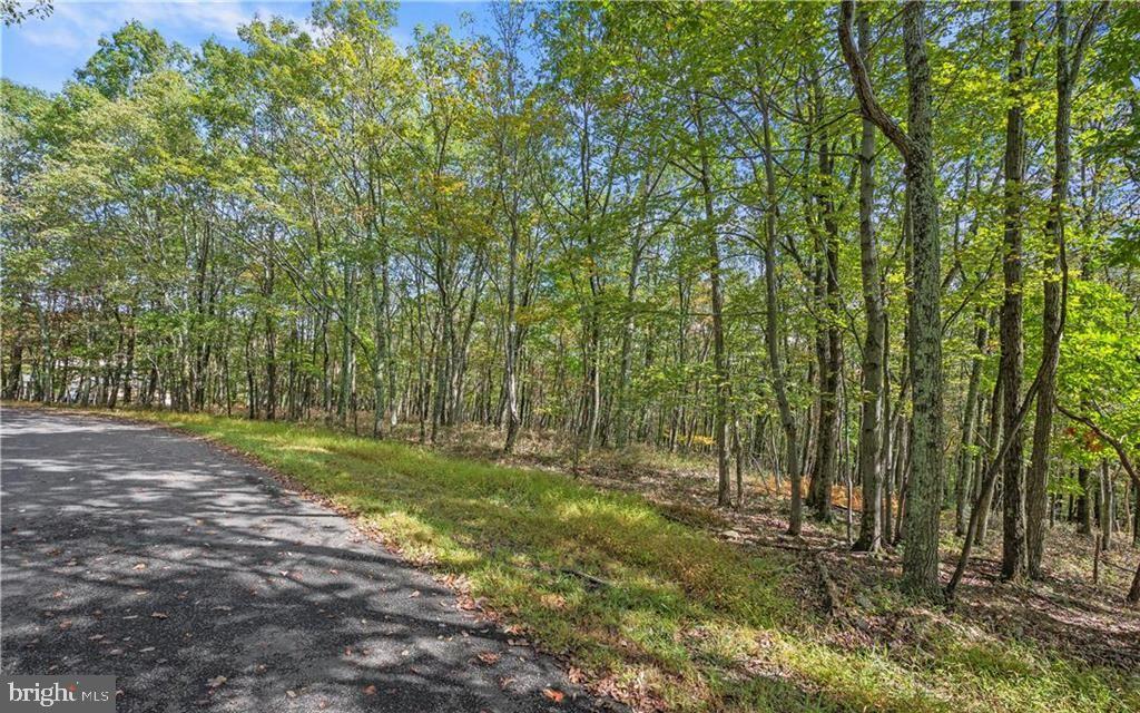 0 STONE RIDGE ROAD