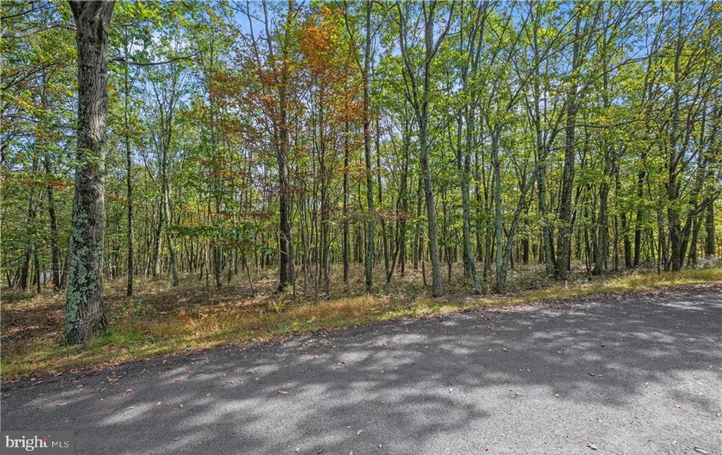 0 STONE RIDGE ROAD