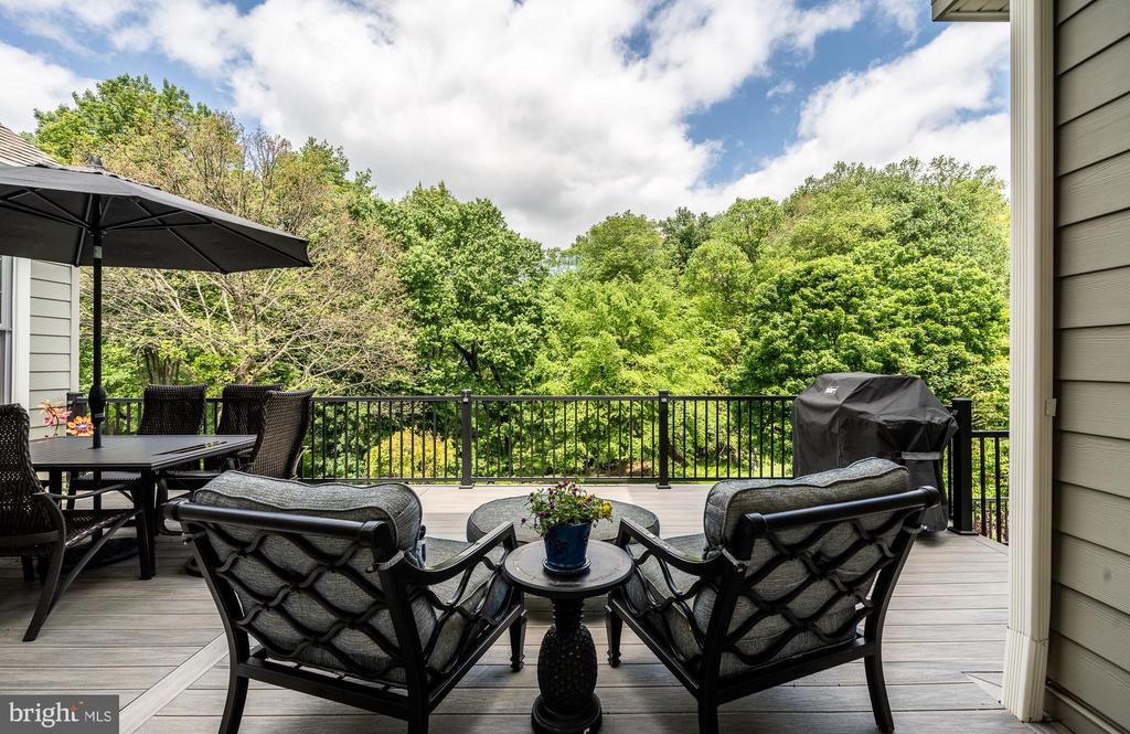 923 SHENANDOAH LANE