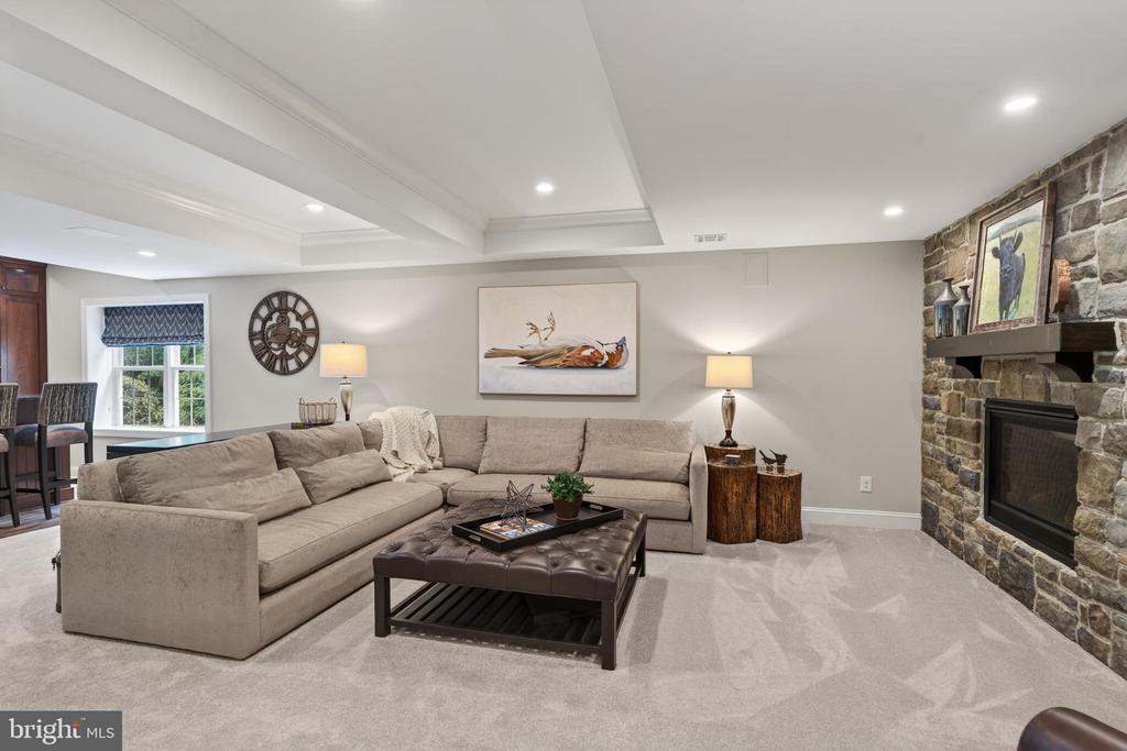923 SHENANDOAH LANE
