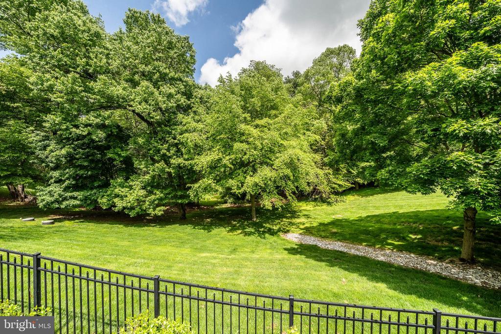 923 SHENANDOAH LANE