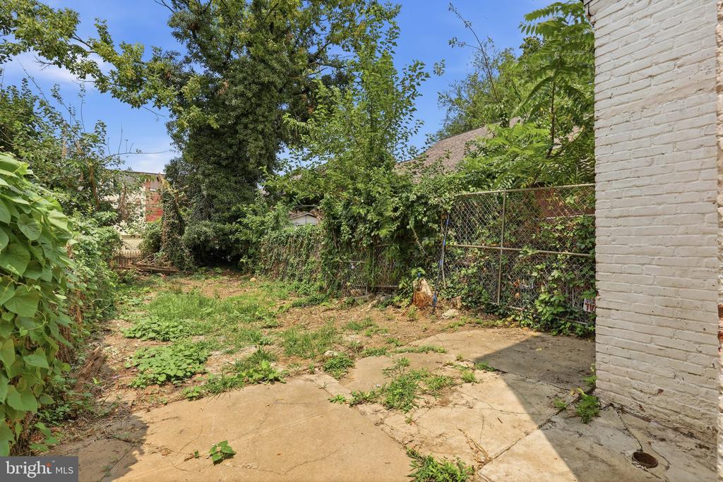 538 LOCUST STREET