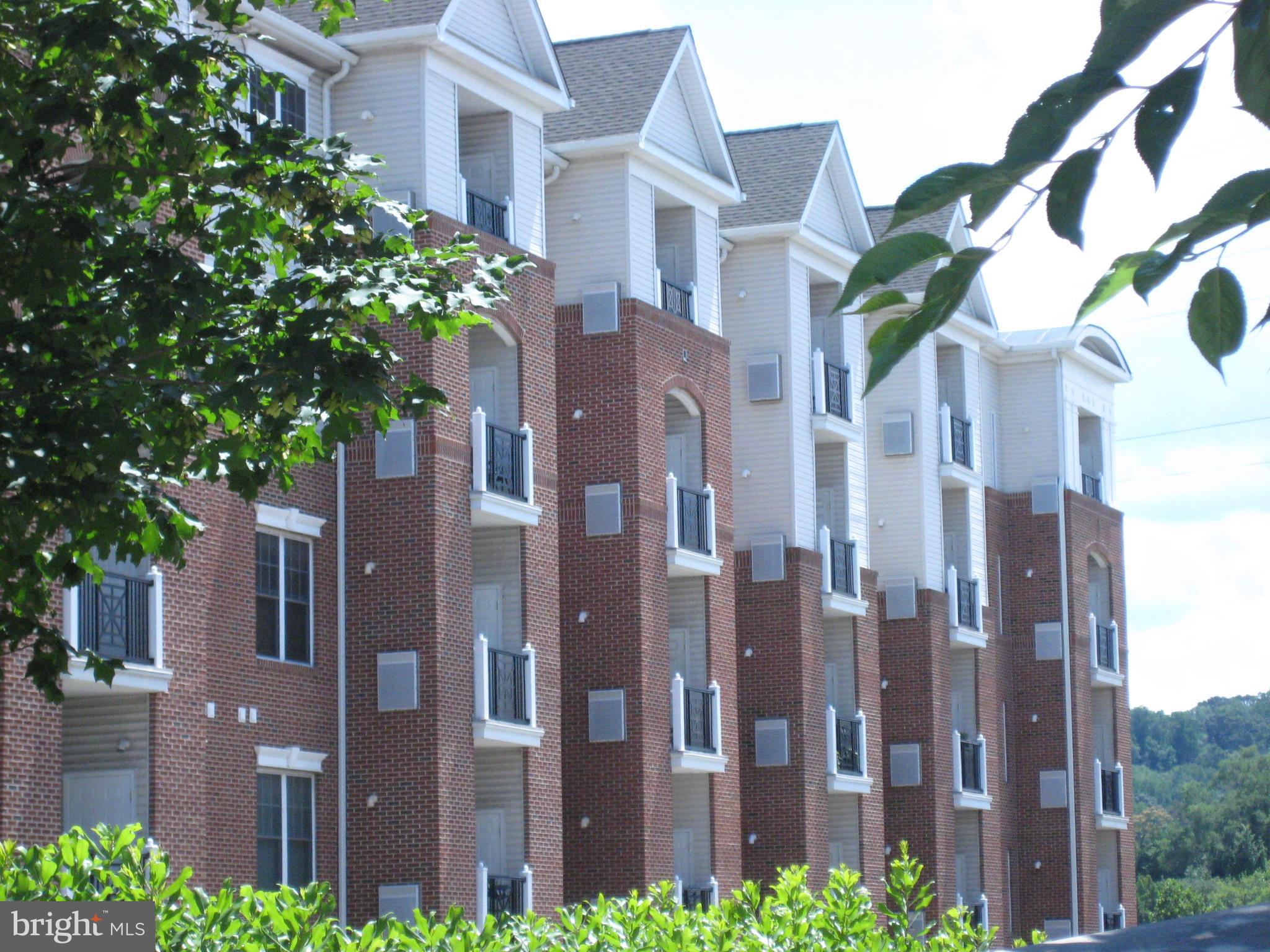 350 W Elm St W #3307