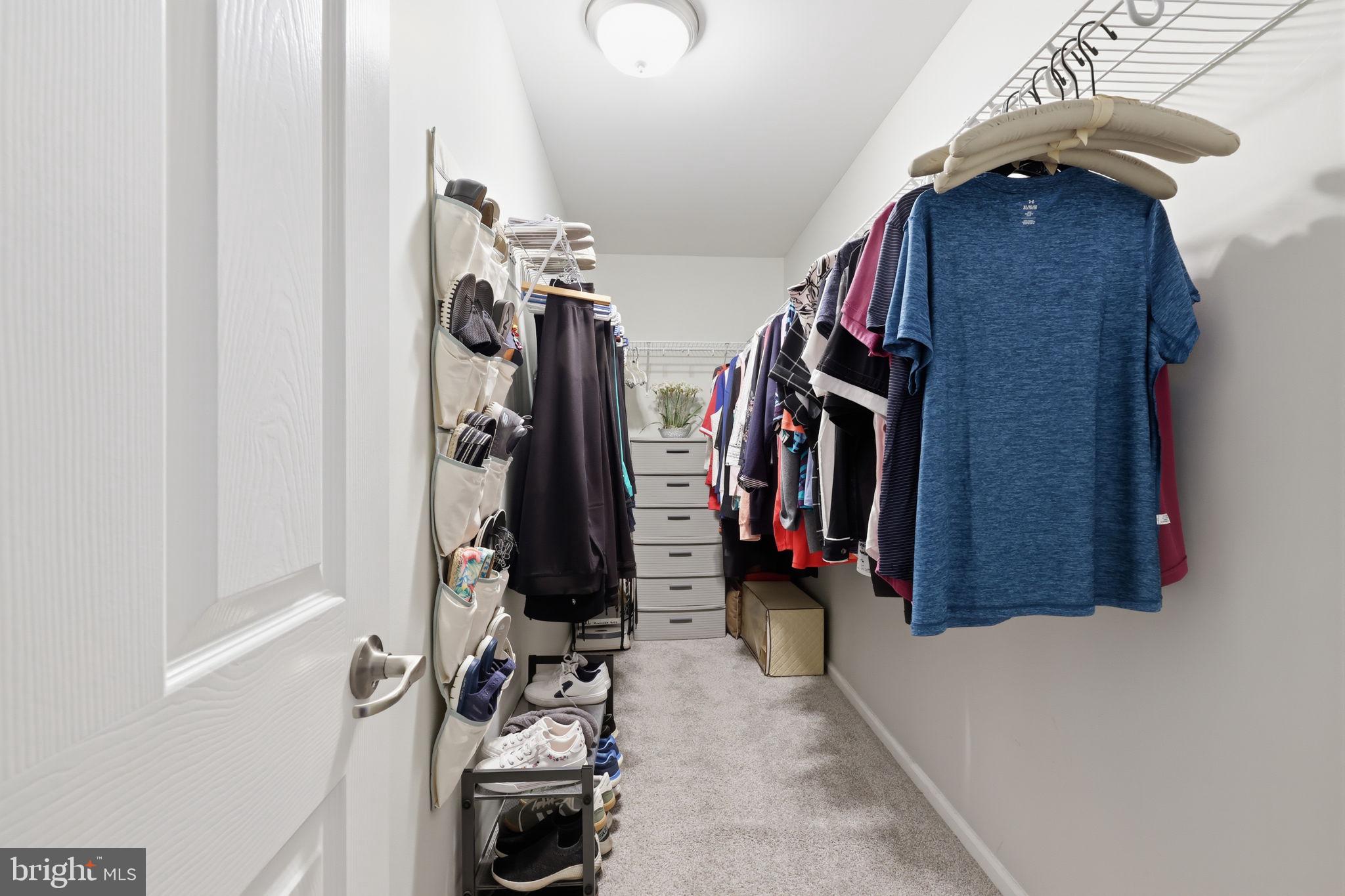 423 DELPHINIUM WAY
