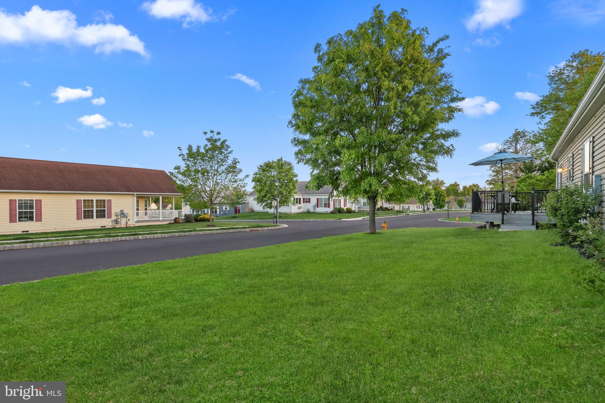 423 DELPHINIUM WAY